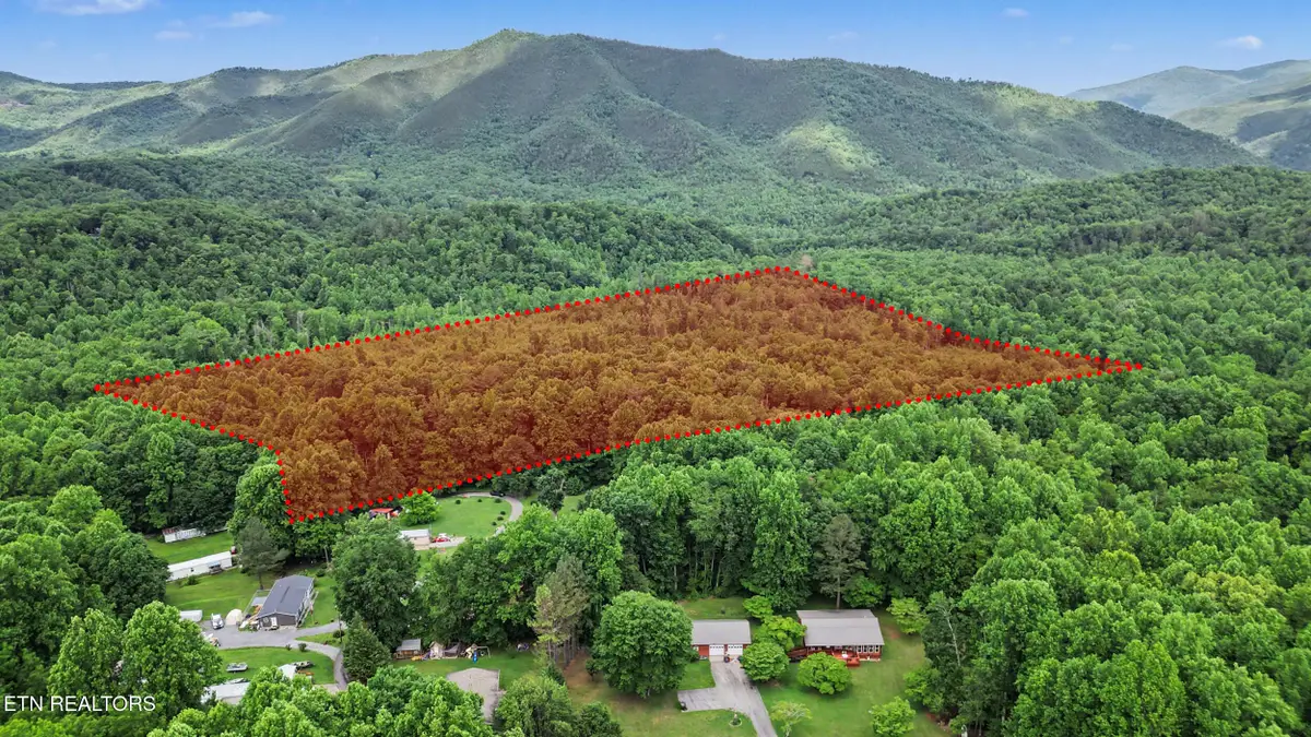 Flat Rd, Cosby, TN 37722 - #1