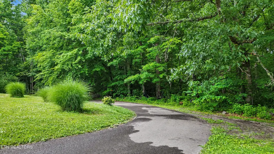 Flat Rd, Cosby, TN 37722 - #3