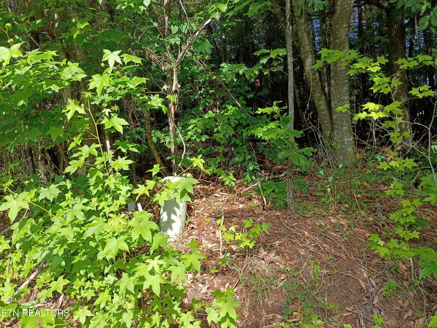 Tanger Court, Harriman, TN 37748 - #3
