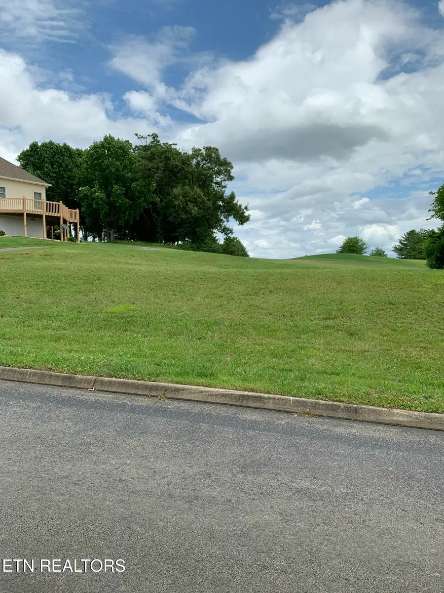 120 Pineberry Drive, Vonore, TN 37885 - #2