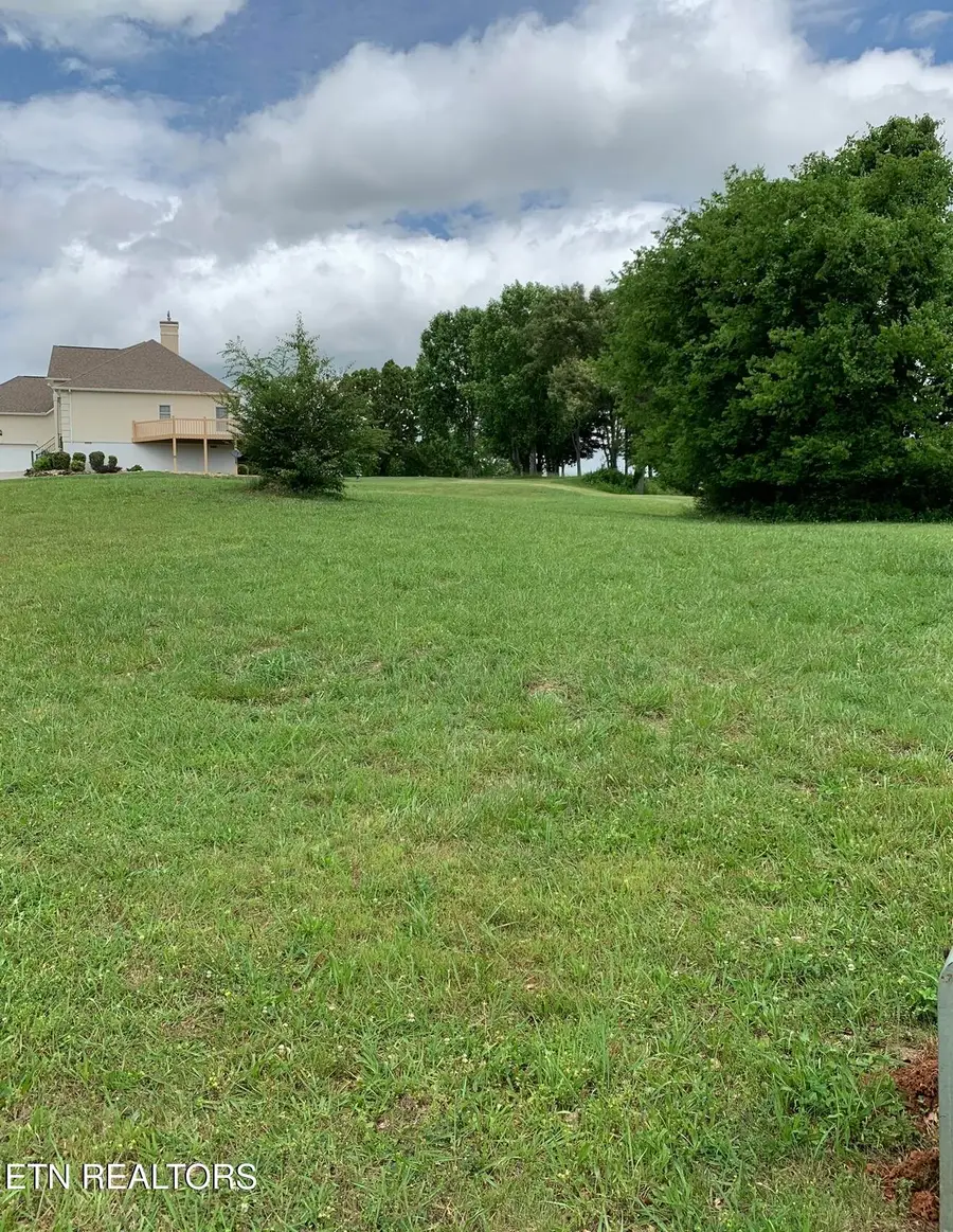 120 Pineberry Drive, Vonore, TN 37885 - #3