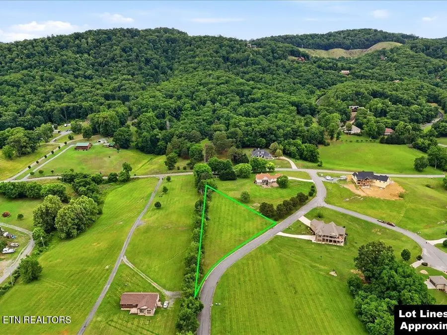 2014 Lake Vista Court, Mooresburg, TN 37811 - #2