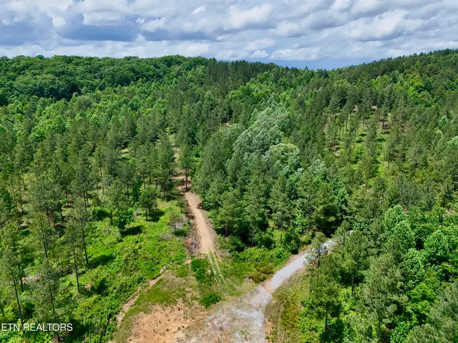 Co Rd 214, Niota, TN 37826 - #2