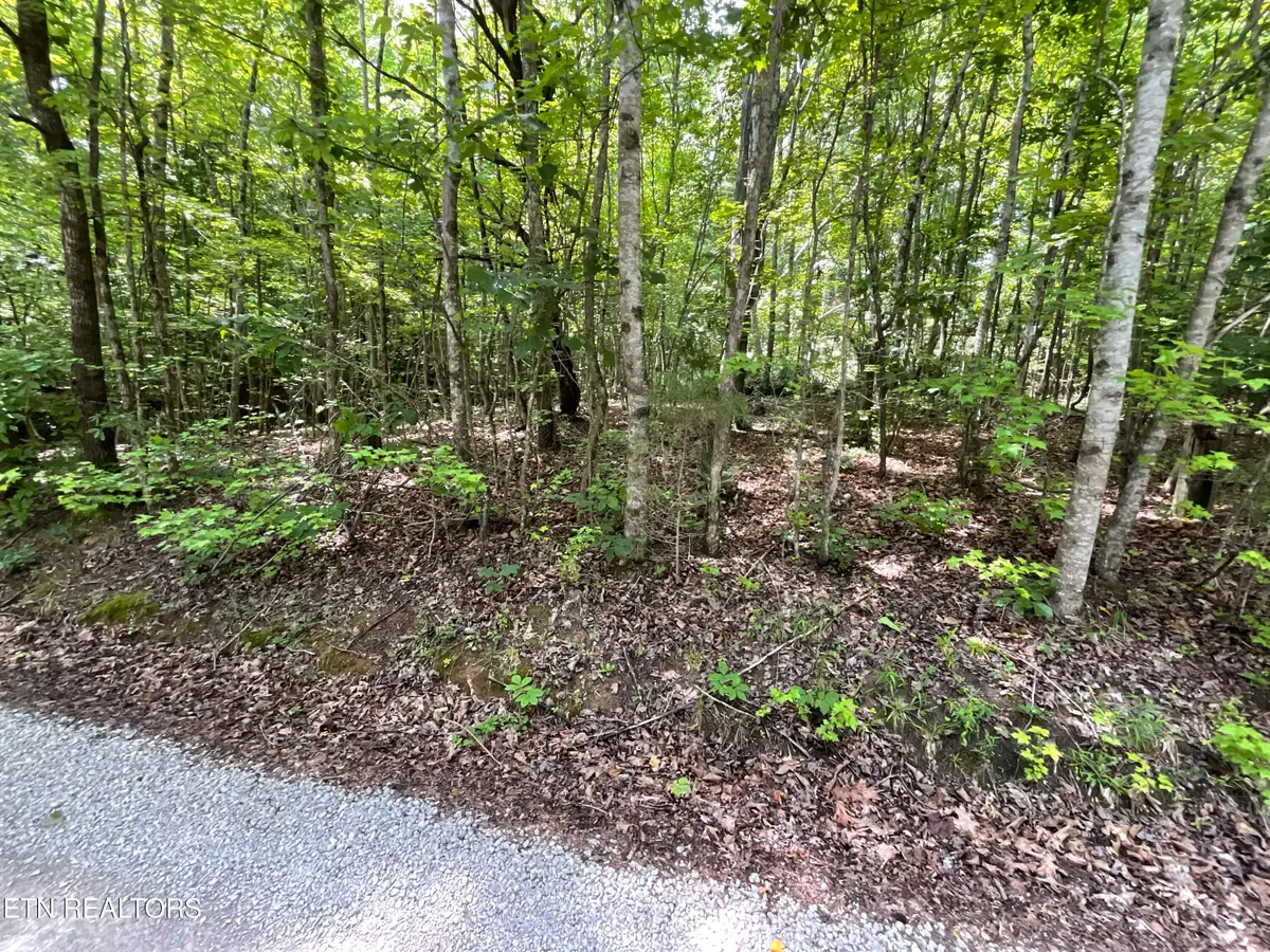 Anna Laura Lane, Rockwood, TN 37854 - #1
