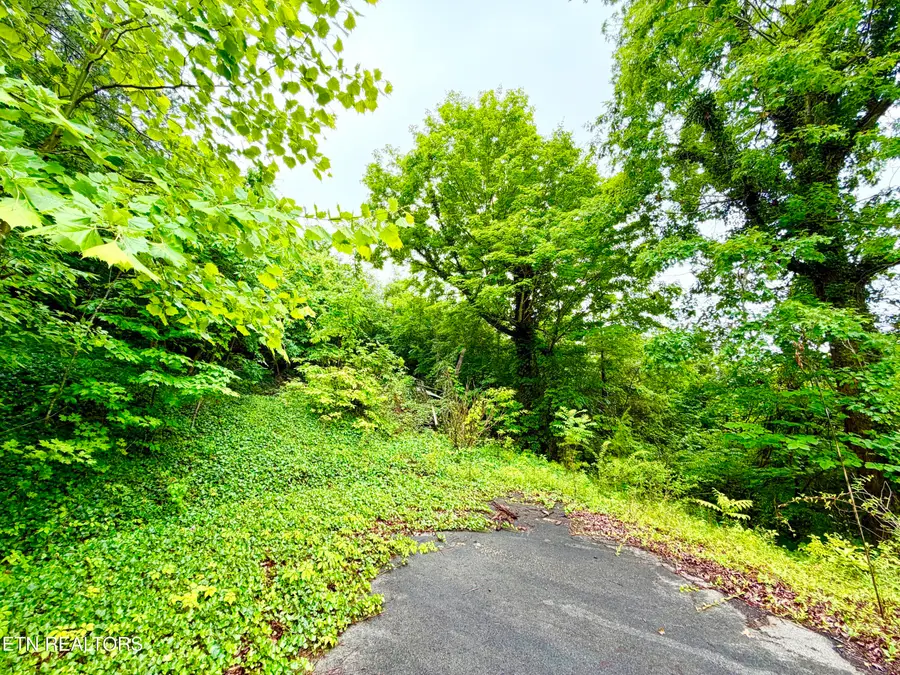 0 Willowbrook Drive, Tellico Plains, TN 37385 - #2