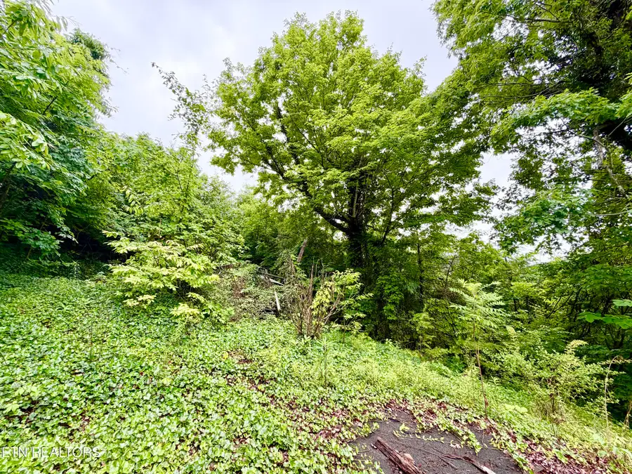 0 Willowbrook Drive, Tellico Plains, TN 37385 - #3