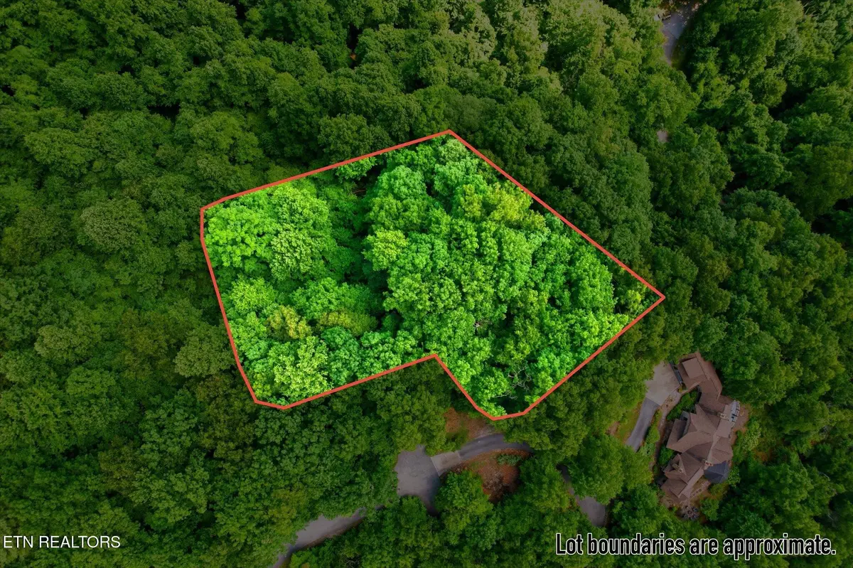 Woodfern Way, Gatlinburg, TN 37738 - #1