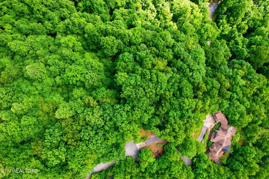 Woodfern Way, Gatlinburg, TN 37738 - #2