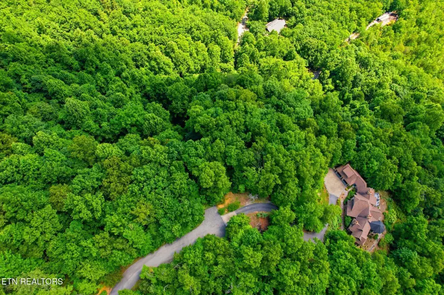 Woodfern Way, Gatlinburg, TN 37738 - #3