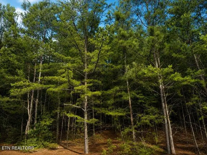 Lot 12 County Road 754, Riceville, TN 37370 - #1