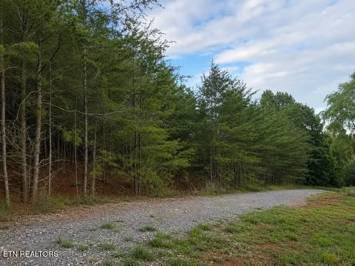 Lot 12 County Road 754, Riceville, TN 37370 - #2