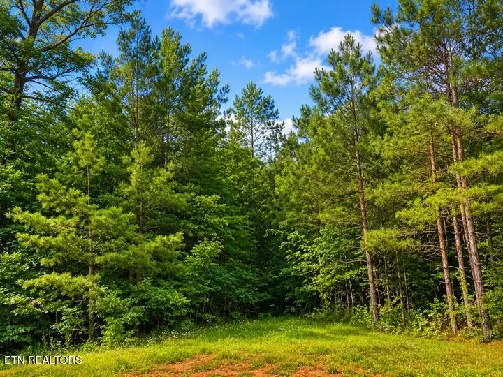 Lot 12 County Road 754, Riceville, TN 37370 - #3