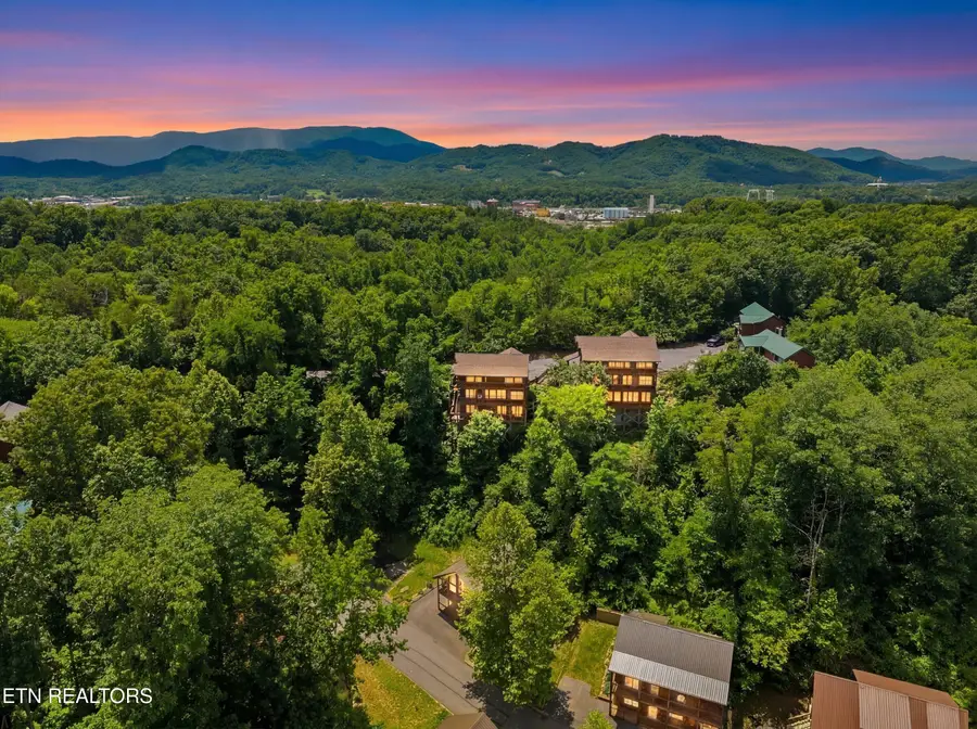452 Alpine Mountain Way, Pigeon Forge, TN 37863 - #2