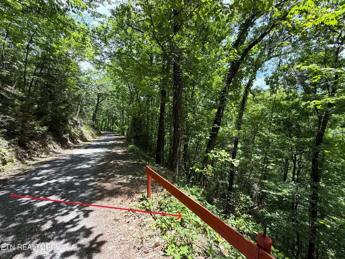Aintree Drive, Sevierville, TN 37876 - #1