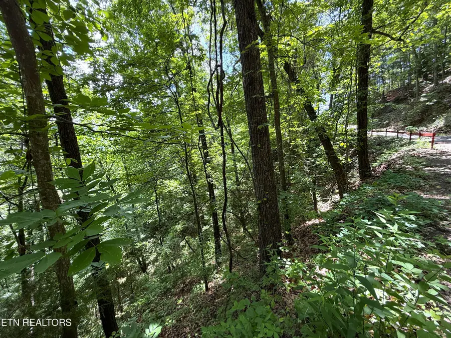 Aintree Drive, Sevierville, TN 37876 - #3