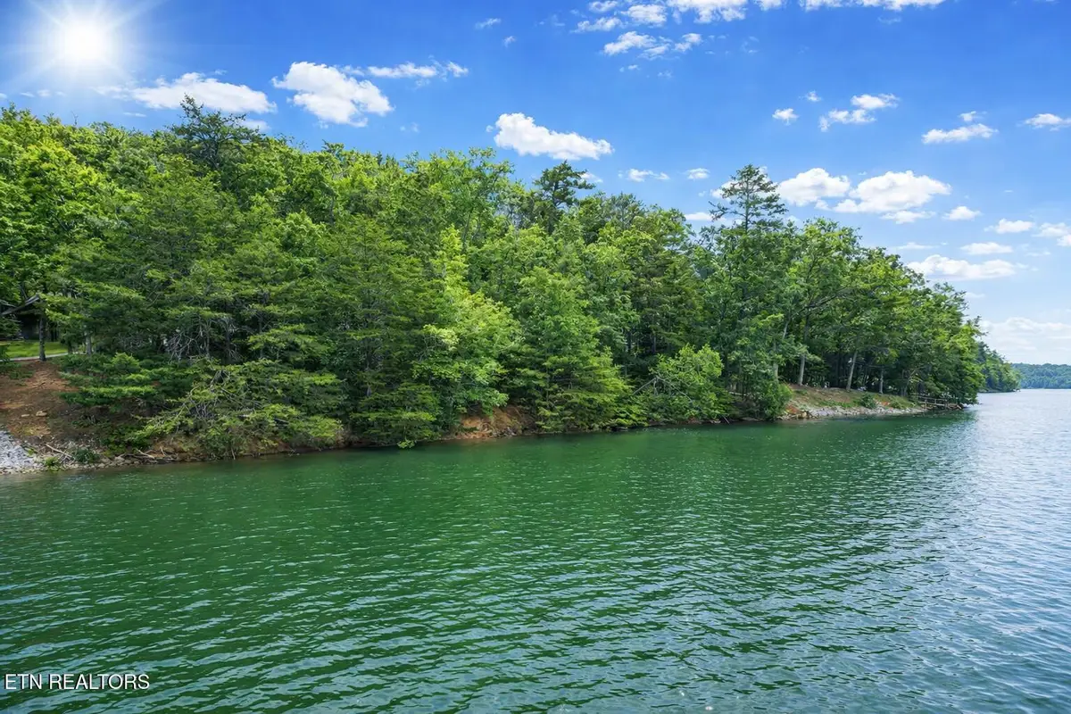 Eagle Point Drive, Rockwood, TN 37854 - #1