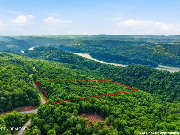 Whistle Valley Rd, New Tazewell, TN 37825