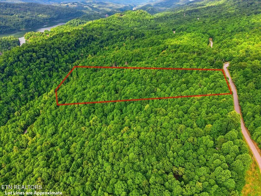 Whistle Valley Rd, New Tazewell, TN 37825 - #3