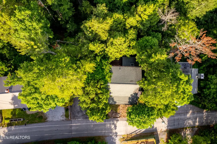 124 Cutter Gap Rd, Townsend, TN 37882 - #2