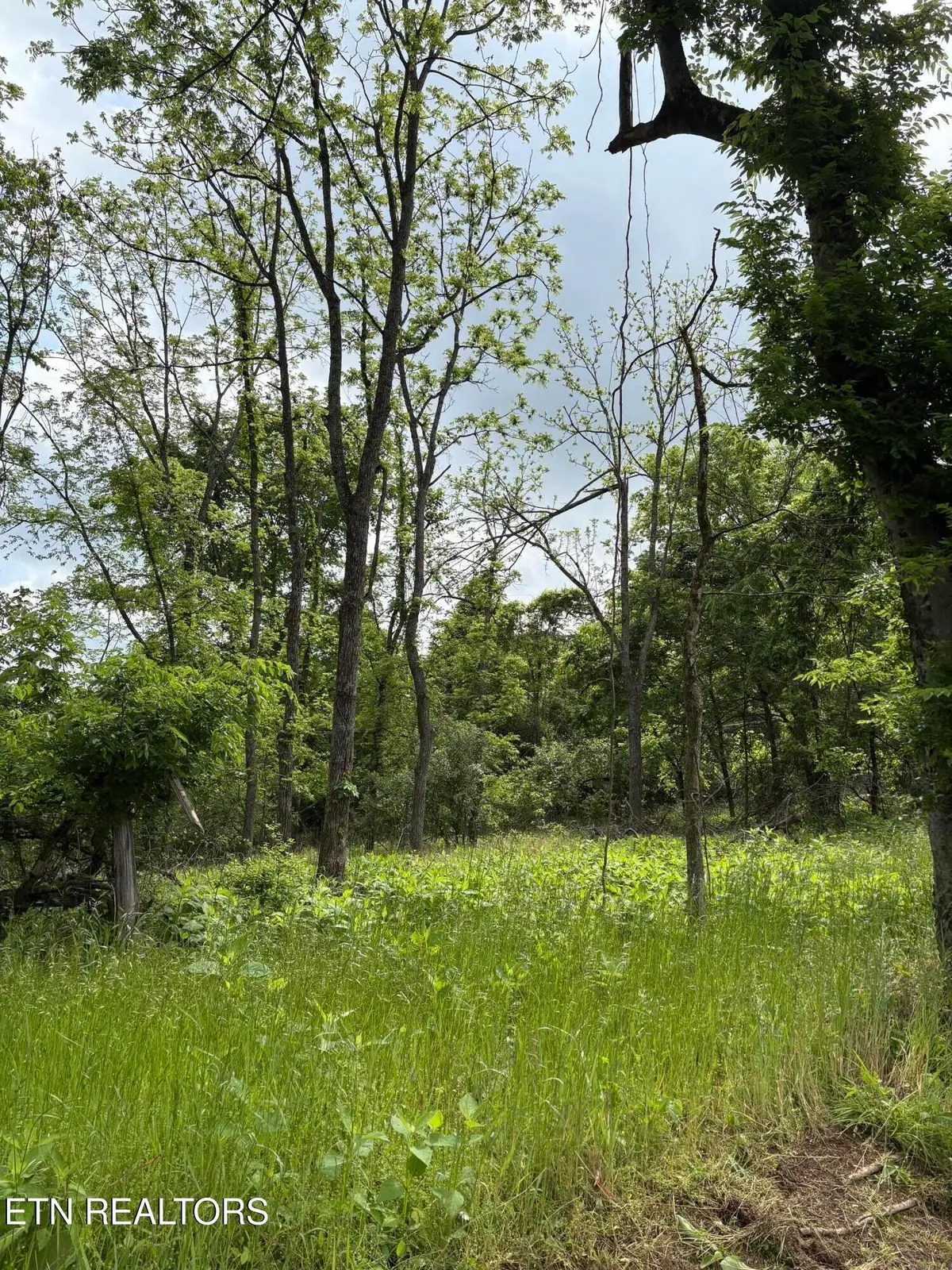 0 Grubb Rd, Lenoir City, TN 37771 - #1