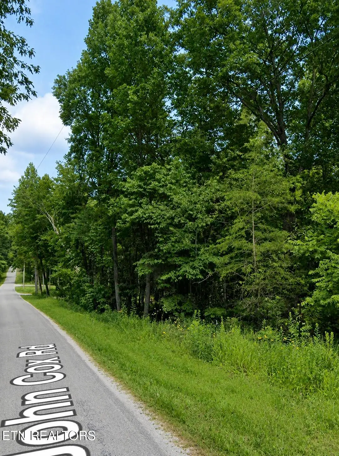 Gladys Rd, Deer Lodge, TN 37726 - #1