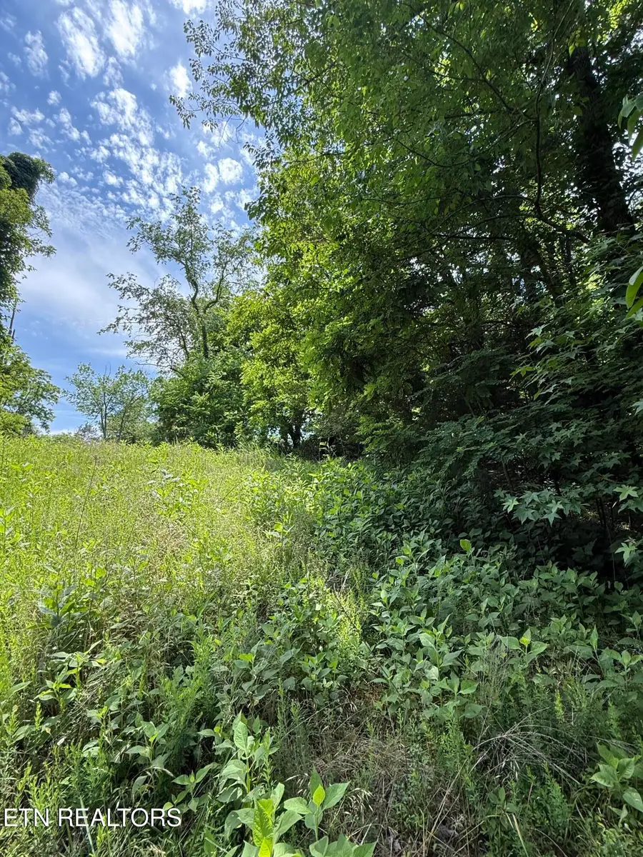 00 Walnut Bend Drive #27R, Whitesburg, TN 37891 - #2
