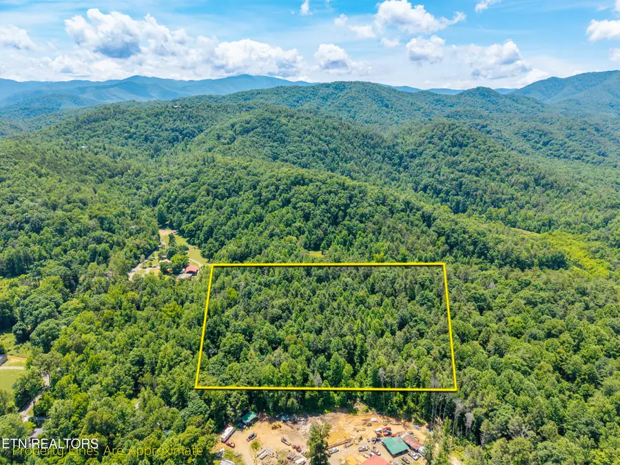 8246 Tennessee Hwy 73, Townsend, TN 37882 - #2