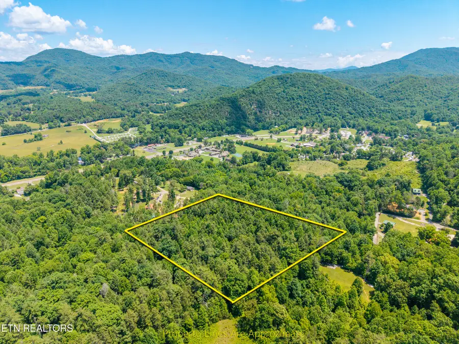 8246 Tennessee Hwy 73, Townsend, TN 37882 - #3