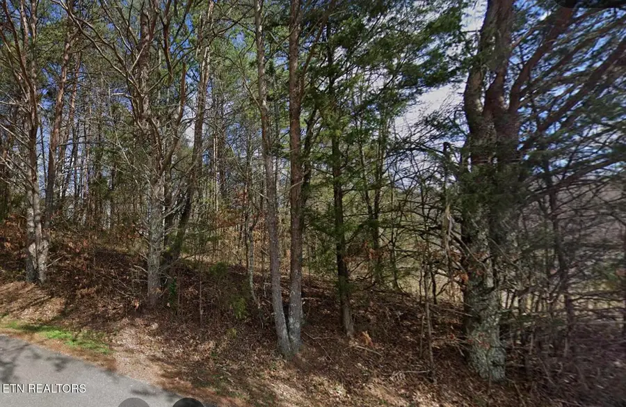 Jones Lane, Clinton, TN 37716 - #2
