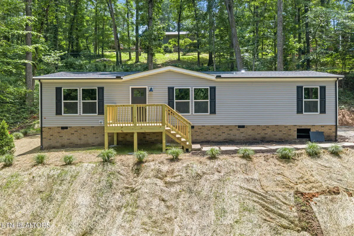 206 Cumberland View Est Rd, Rocky Top, TN 37769 - #1