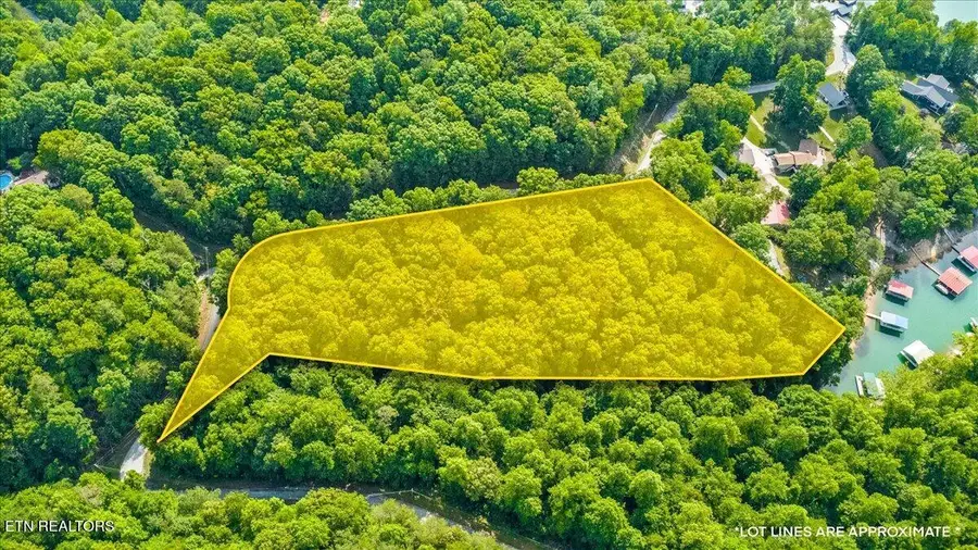 Big Creek Rd, Lafollette, TN 37766 - #2