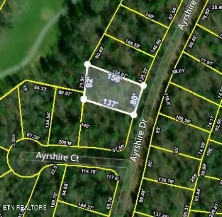 115 Ayrshire Drive, Crossville, TN 38558 - #2