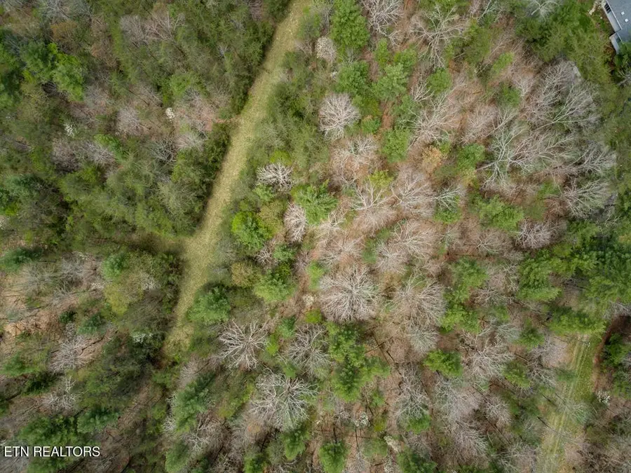 17 Menteith Lane, Crossville, TN 38558 - #3