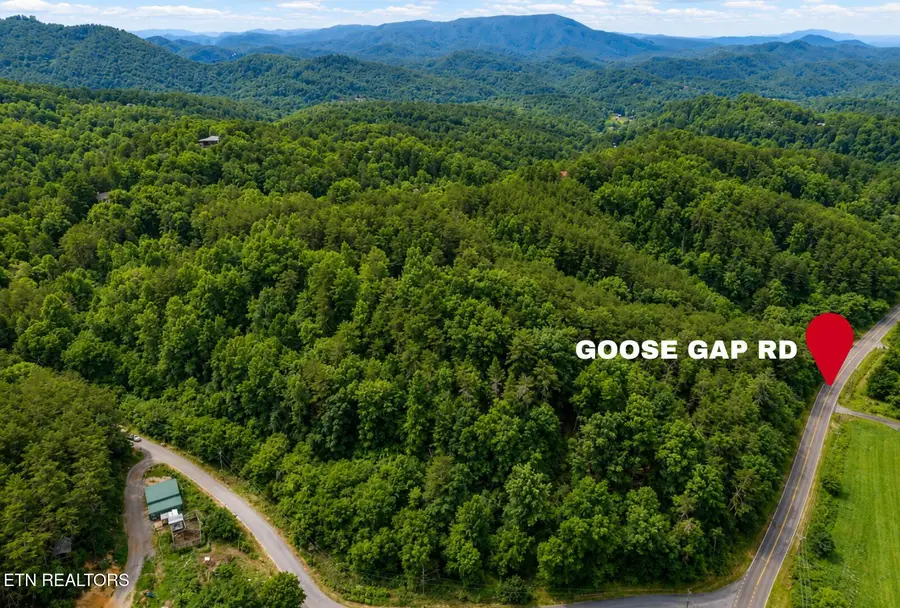 2131 Goose Gap Rd, Sevierville, TN 37876 - #3