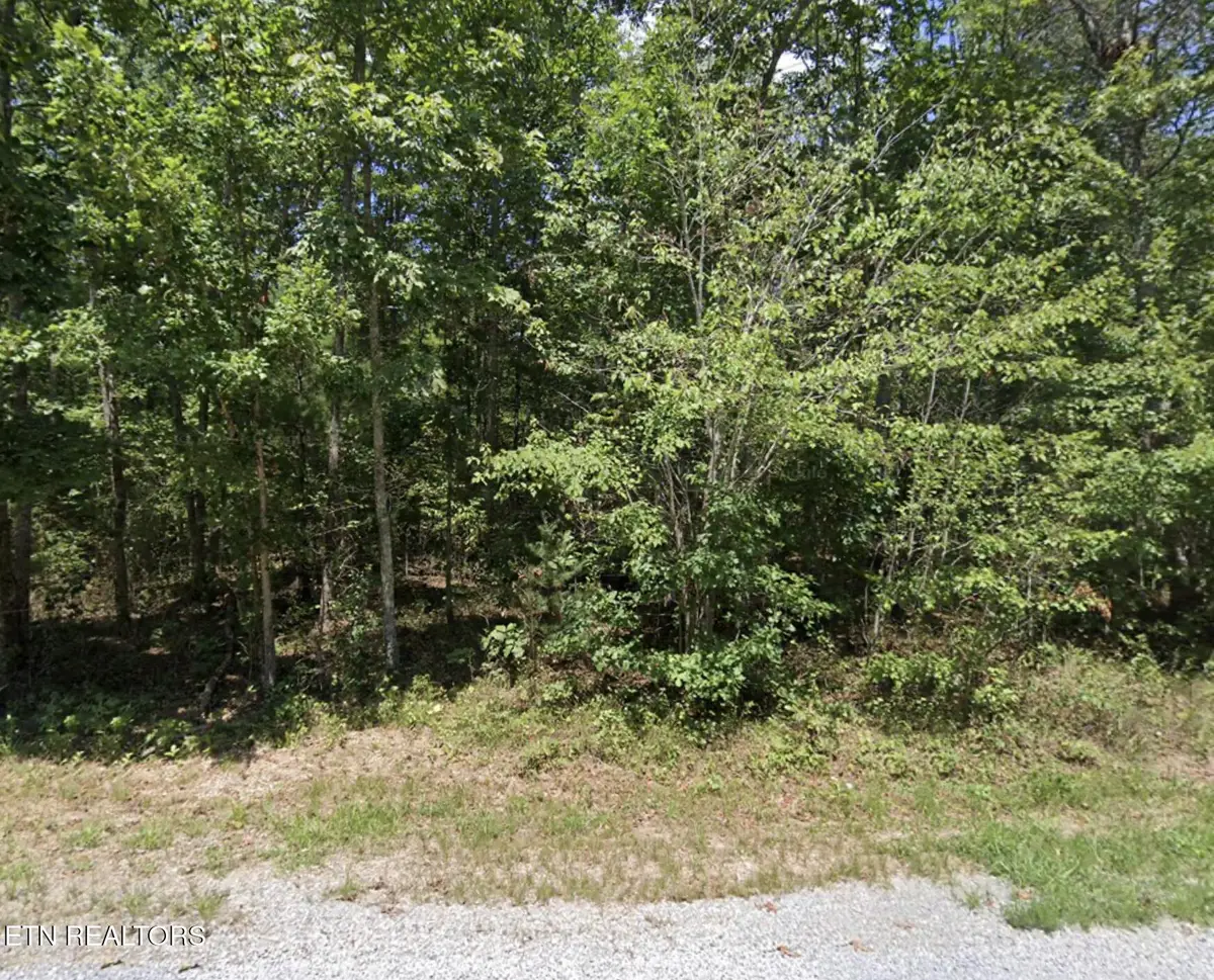 8919 Cherokee Tr, Crossville, TN 38572 - #1