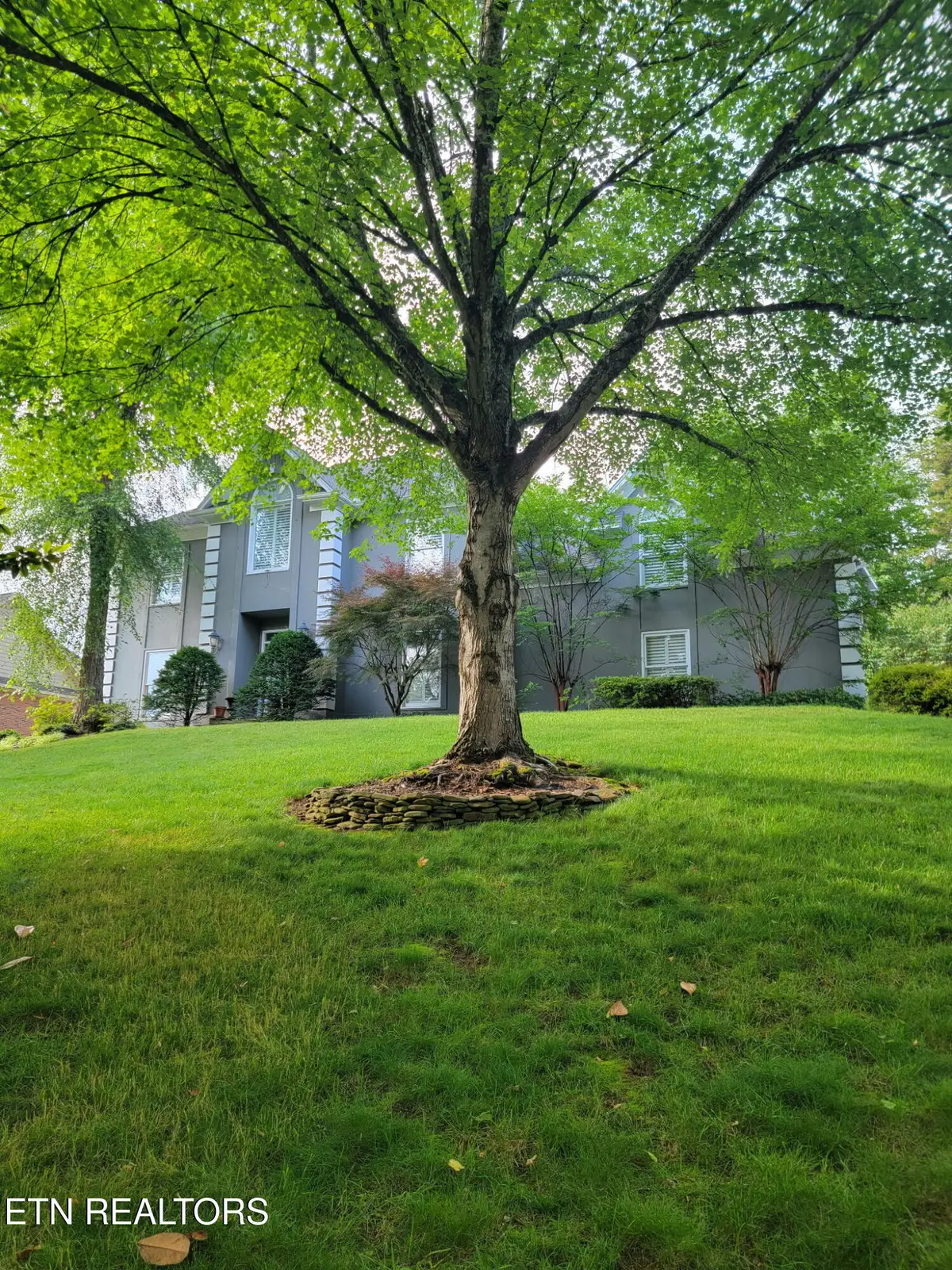 312 Axton Drive, Knoxville, TN 37934 - #1