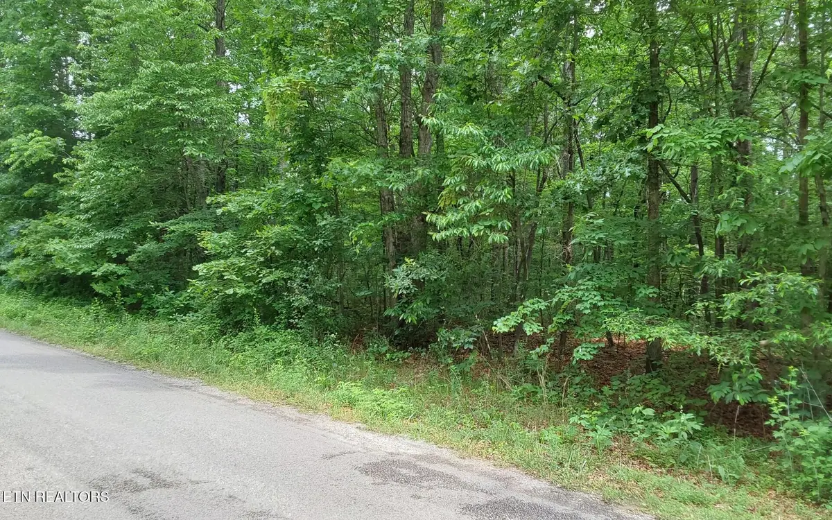 00 Gray Fox Drive, Crossville, TN 38555 - #1