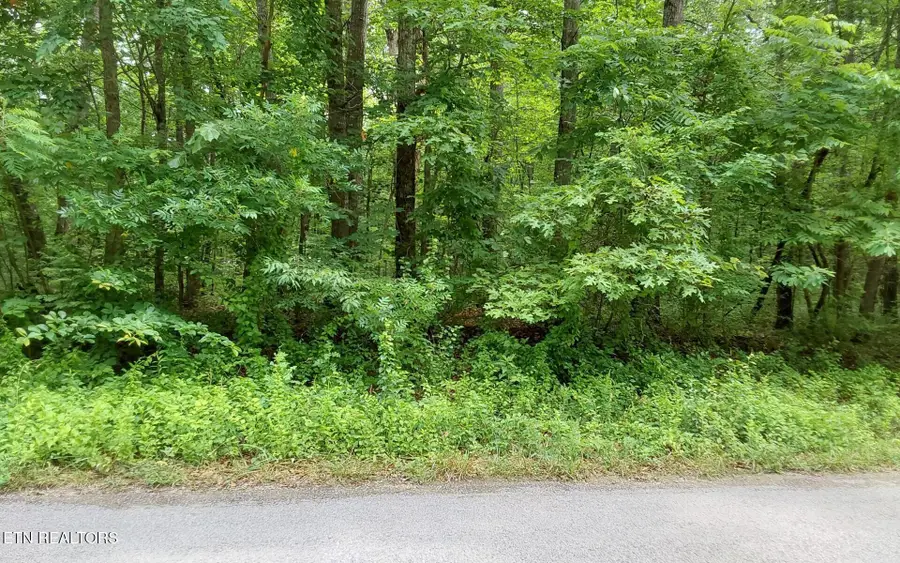 00 Gray Fox Drive, Crossville, TN 38555 - #2