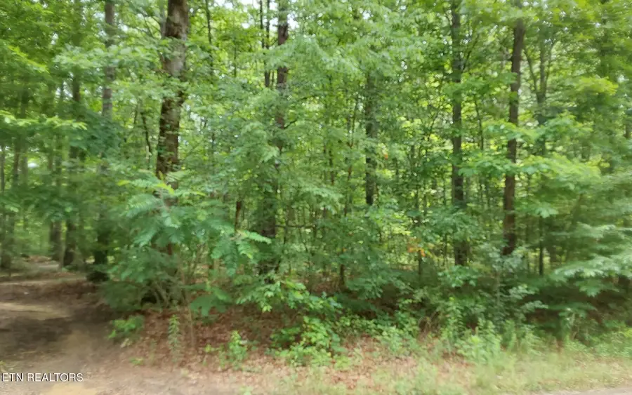 00 Gray Fox Drive, Crossville, TN 38555 - #3
