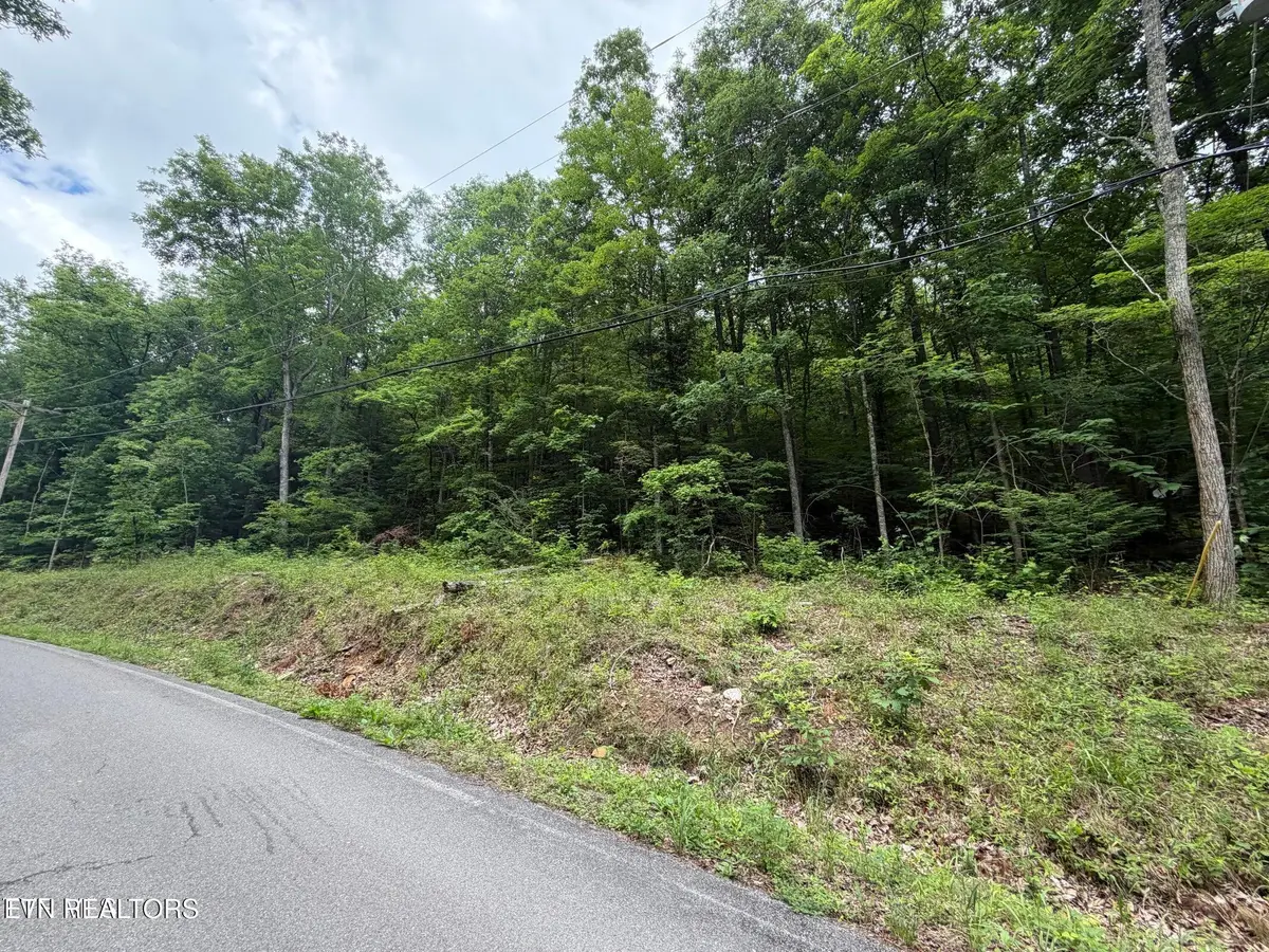 TBD Alpine Drive, Sevierville, TN 37876 - #1
