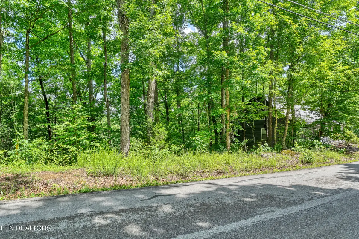 424 Laurel Rd, Townsend, TN 37882 - #1