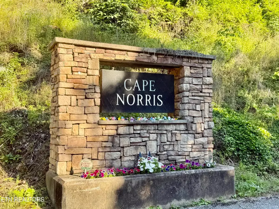 376 Norris View Drive, New Tazewell, TN 37825 - #2
