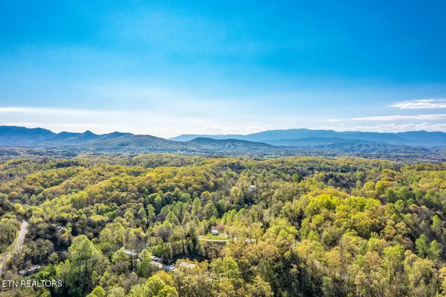 Penelope Lane, Sevierville, TN 37876 - #3