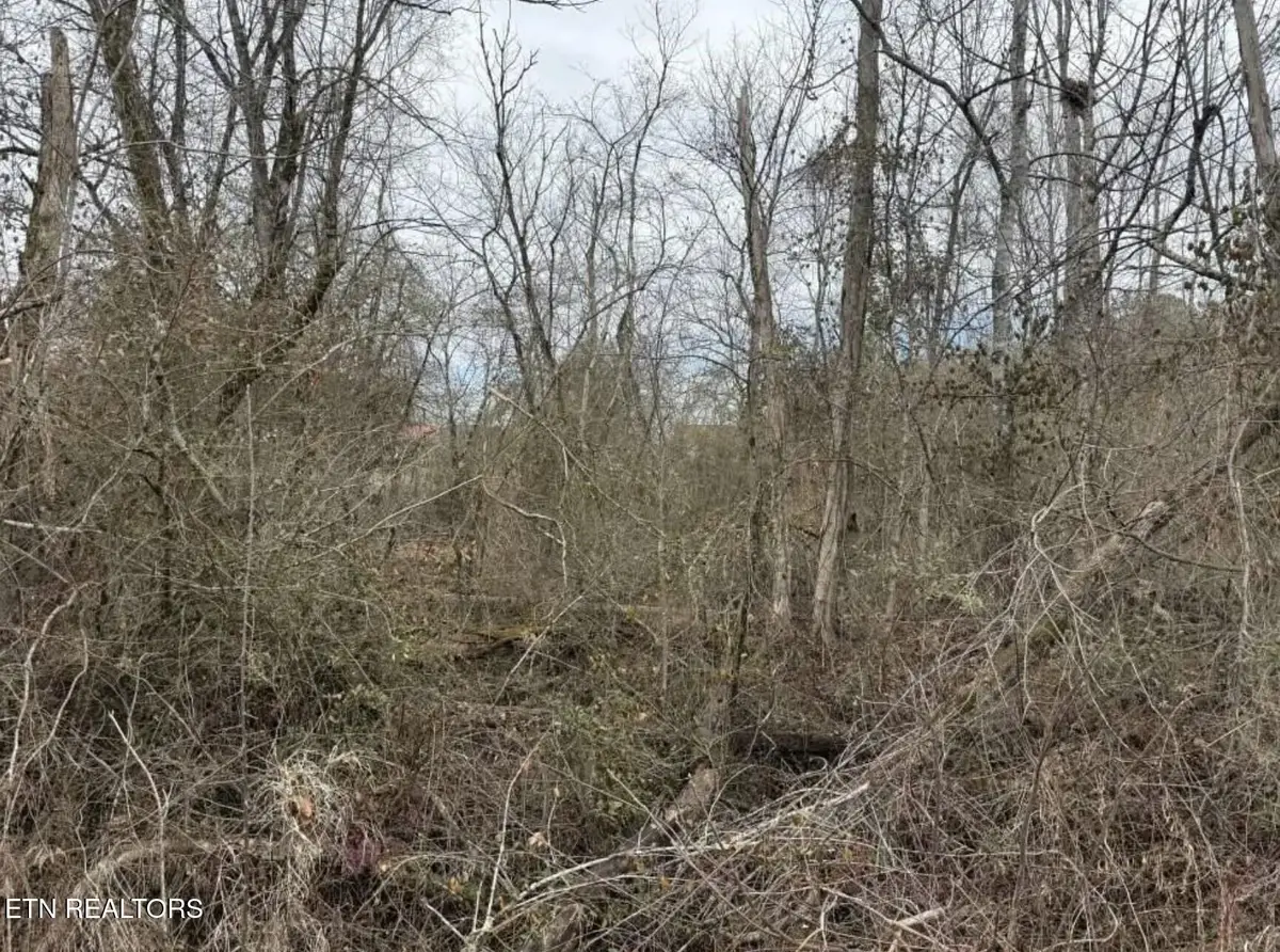 Balboa Drive, Rockwood, TN 37854 - #1