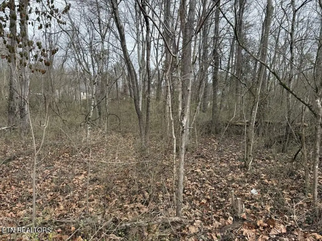 164 Jodys Lane, Rockwood, TN 37854 - #1