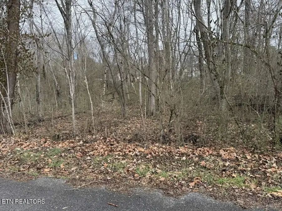 164 Jodys Lane, Rockwood, TN 37854 - #3
