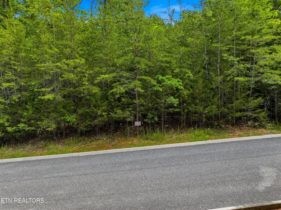 Lot 110 Eagles Ridge, Tazewell, TN 37879 - #3