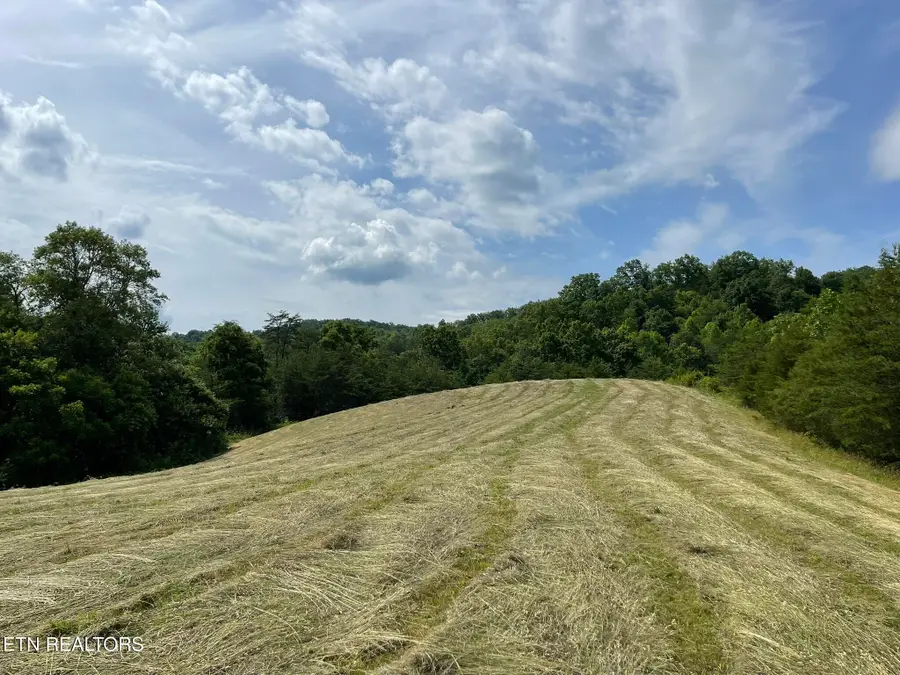 6948 Tazewell Hwy, Sneedville, TN 37869 - #3