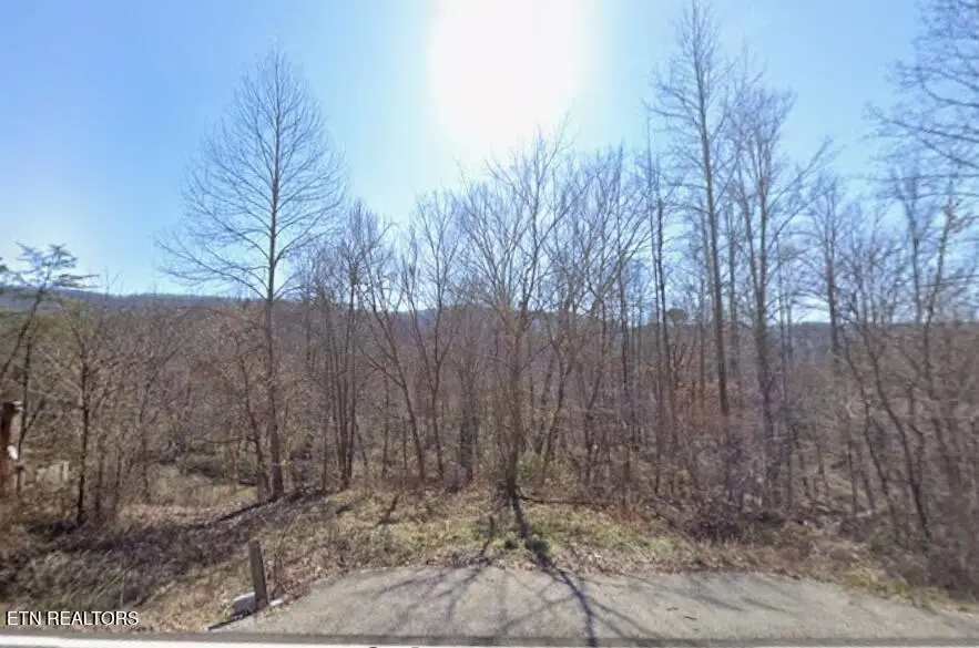 5787 Highway 297, Pioneer, TN 37847 - #2