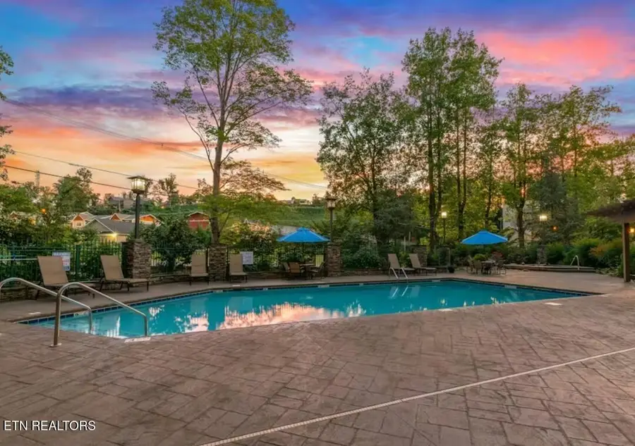 215 Woliss Lane #UNIT 313, Gatlinburg, TN 37738 - #2